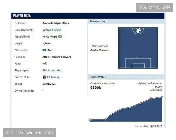 双外援边锋配置效果未达预期 申花攻防平衡待解